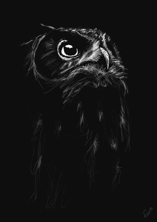 “Owl”  Premium Semi-Glossy Limited Edition Art Print A3 - 50 units Flexo Draws